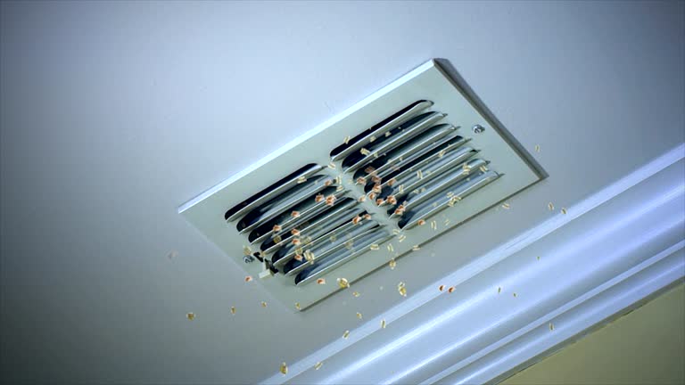 Best Best Air Duct Cleaning Company  in Eden, NC